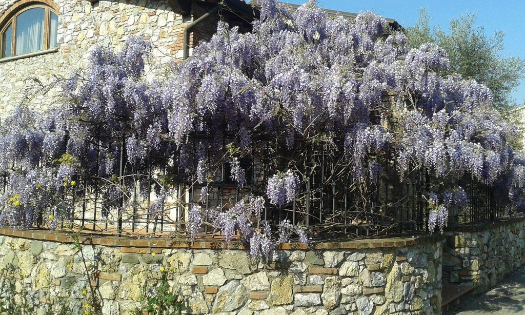 Pietra E Glicine B&B Pieve a Nievole Eksteriør bilde